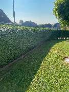 Sund Gartenbau eGbR - GALLERY