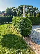 Sund Gartenbau eGbR - GALLERY