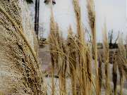 Sund Gartenbau eGbR - GALLERY