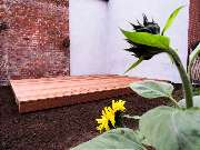Sund Gartenbau eGbR - GALLERY