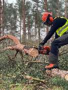 Sund Gartenbau eGbR - GALLERY