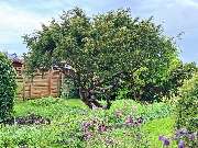 Sund Gartenbau eGbR - GALLERY