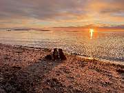 Super Hundeurlaub - GALLERY