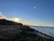 Super Hundeurlaub - GALLERY