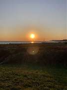 Super Hundeurlaub - GALLERY