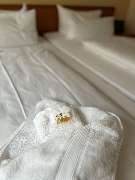 Sure Hotel by Best Western Wilhelmshaven City - Standard Double Room