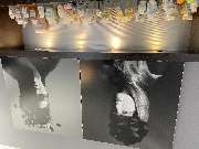 Susann Gruler Frisurengestaltung - GALLERY