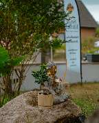 Suvai Kitchen - GALLERY