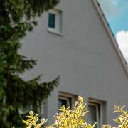 Suvai Kitchen - GALLERY