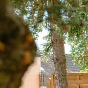 Suvai Kitchen - GALLERY