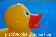 SVK Schwimmschule Künzell/Fulda/Petersberg/Eichenzell - 1