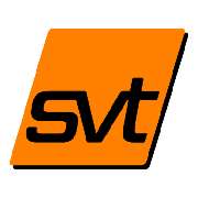 svt Brandschutz-Services - LOGO