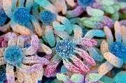 SWEETS HEAVEN STORE - GALLERY