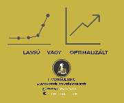 T-Consulting - GALLERY