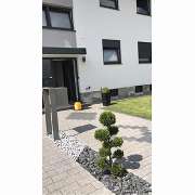 T.Streich-Zaunbau-Rollrasen - GALLERY