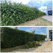 TA-Dienstleistungen - Hausmeister & Entrümpelungsservice - GALLERY