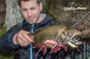 Tackle Dealer - Tackle Dealer Angelshop online