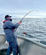 Tackle Dealer - Tackle Dealer Angelshop online