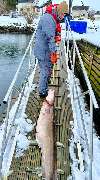 Tackle Dealer - Tackle Dealer Angelshop online