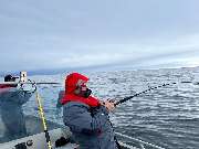 Tackle Dealer - Tackle Dealer Angelshop online