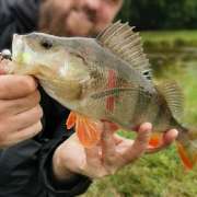 TackleXperts - GALLERY