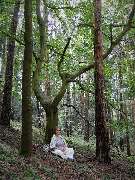 Taiji-Qigong mit Regine - GALLERY