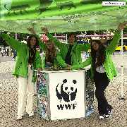talk2move Grüße vom WWF-Team 