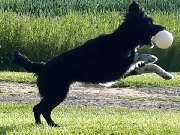 Tannenrestaurant & Kegelbahn Demmin, Inh. Marco Koopmann - GALLERY