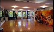 Tanzschule Salsa Company Stuttgart - 4