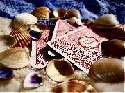 Tarotpfad Tara - GALLERY