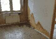 Tatortreinigung-365 - 4