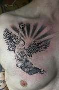 Tattoo for you - GALLERY