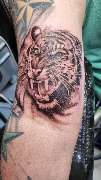 Tattoo Time Stade - GALLERY