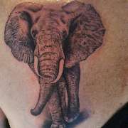 Tattoo Time Stade - GALLERY