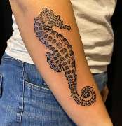 Tattoo Tintentanz - GALLERY