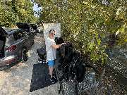 Tauchertreff-Mainz - IMG_2129.jpeg