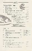 Taverna Dionysos - Griechisches Restaurant - GALLERY