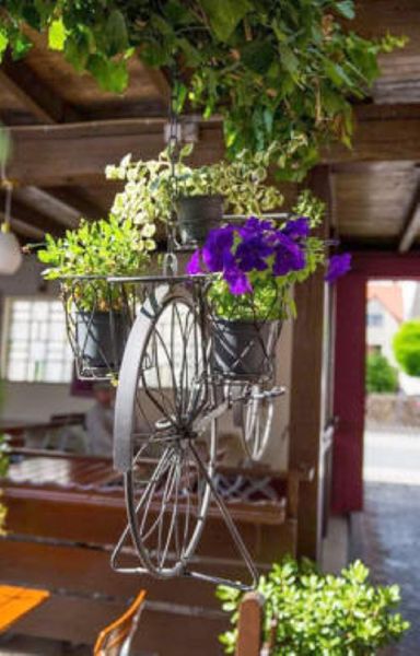 Taverna IPPOS - GALLERY