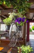 Taverna IPPOS - GALLERY