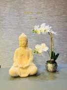 Tawan Spa 2 & Thaimassage GbR - GALLERY