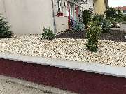 TC-Gartenbau - GALLERY