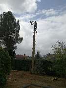 TC-Gartenbau - GALLERY