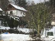 TC-Gartenbau - GALLERY