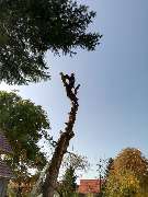 TC-Gartenbau - GALLERY