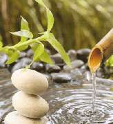 TCM- und Massagepraxis - GALLERY