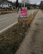 Teddy's Transporte& Aussenwerbung - 6