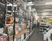 tedox - GALLERY