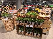 tegut... gute Lebensmittel - Frische Kräuter wie Rosmarin oder Basilikum in der Frischeabteilung