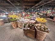 tegut... gute Lebensmittel - Obstabteilung mit Bananen, frischen Äpfeln und vielem mehr