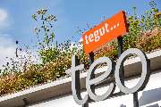tegut... teo - GALLERY